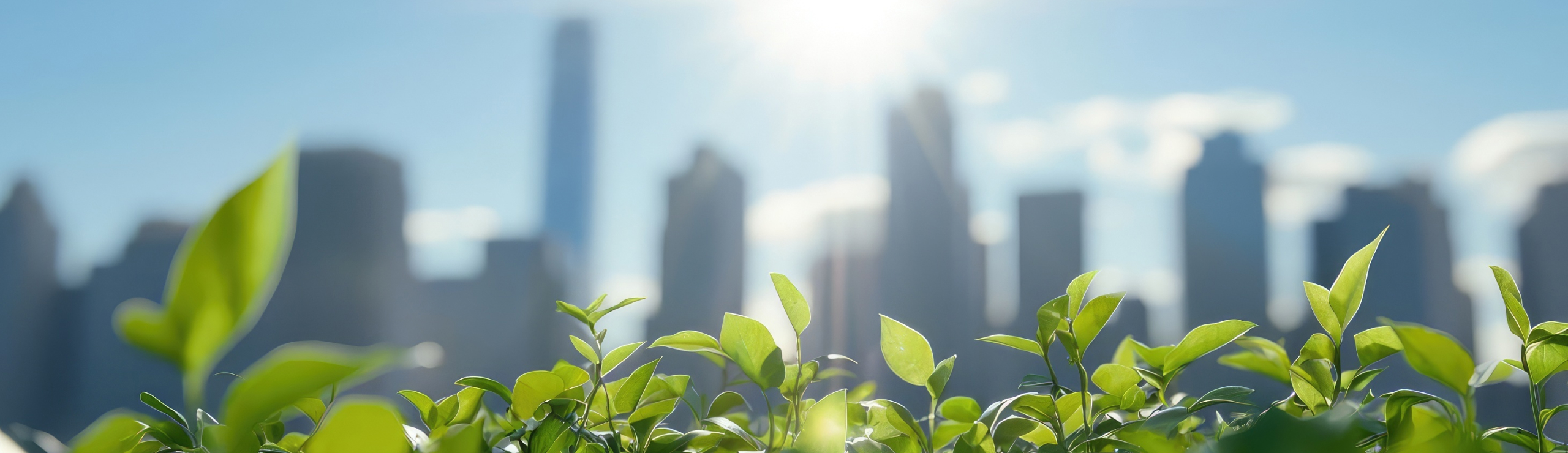 SDGsイメージ画像